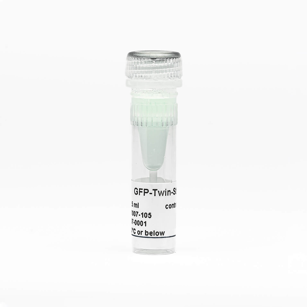 Picture of GFP-Twin-Strep-tag control protein (500 µg)